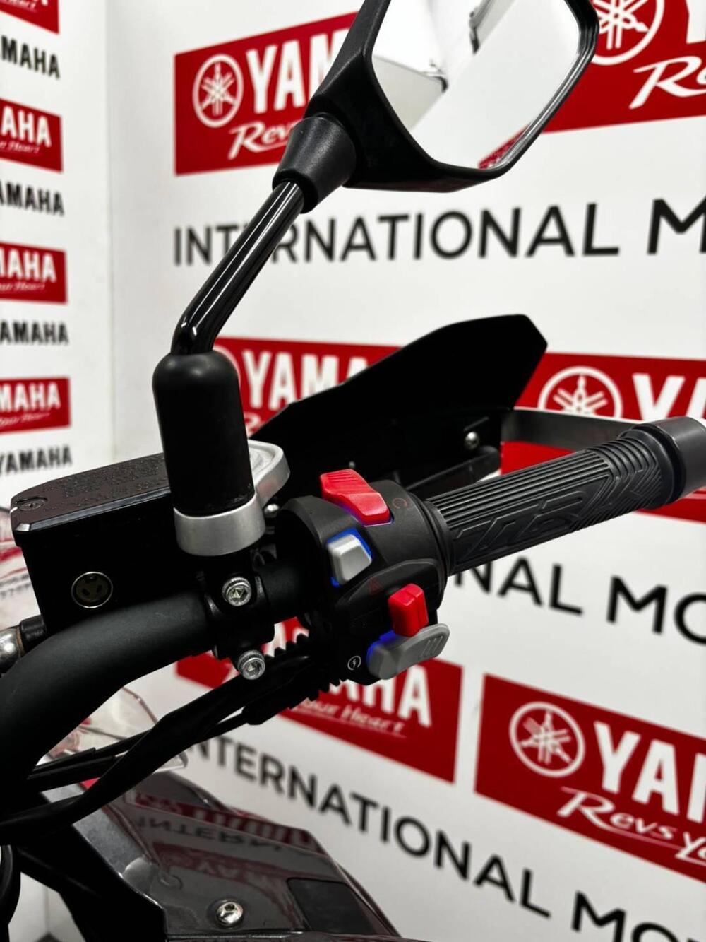 Benelli TRK 502 (2021 - 25) (7)