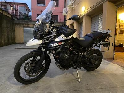 Triumph Tiger 800 XCx (2015 - 17) usata