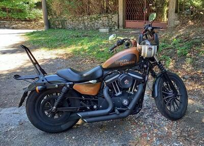 Harley-Davidson 883 Custom (2008 - 12) - XL 883C usata