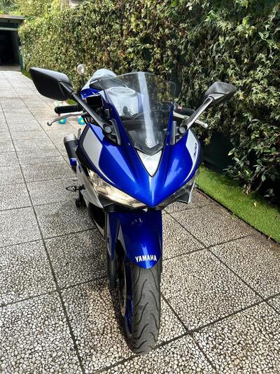 Yamaha YZF R3 (2015 - 17) usata
