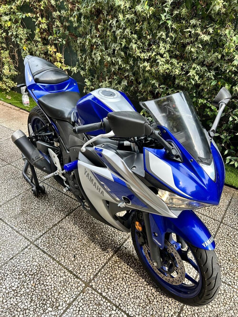 Yamaha YZF R3 (2015 - 17) (2)