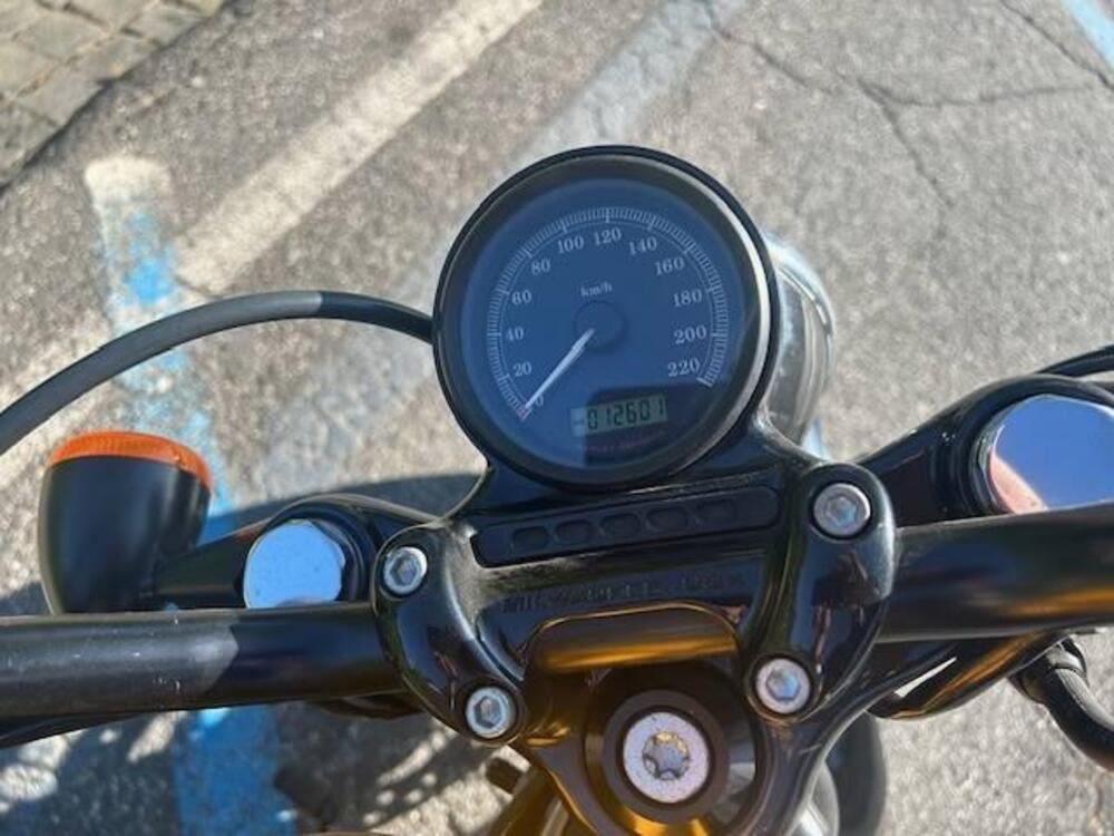 Harley-Davidson 1200 Forty-Eight (2010 - 15) (4)