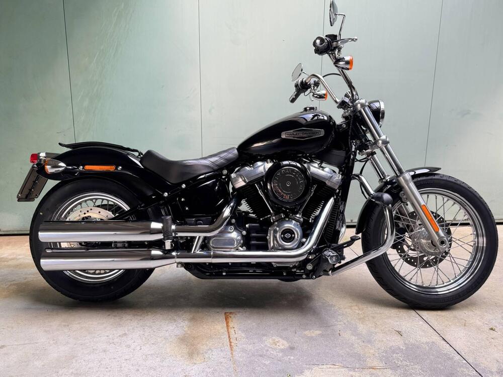 Harley-Davidson Softail Standard (2021 - 25)