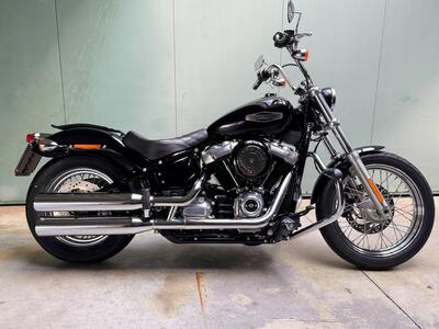 Harley-Davidson Softail Standard (2021 - 25) usata