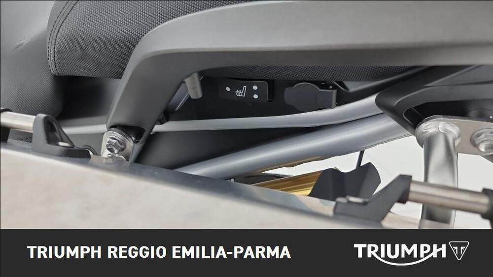 Triumph Tiger 1200 Rally Explorer (2022 - 23) (13)