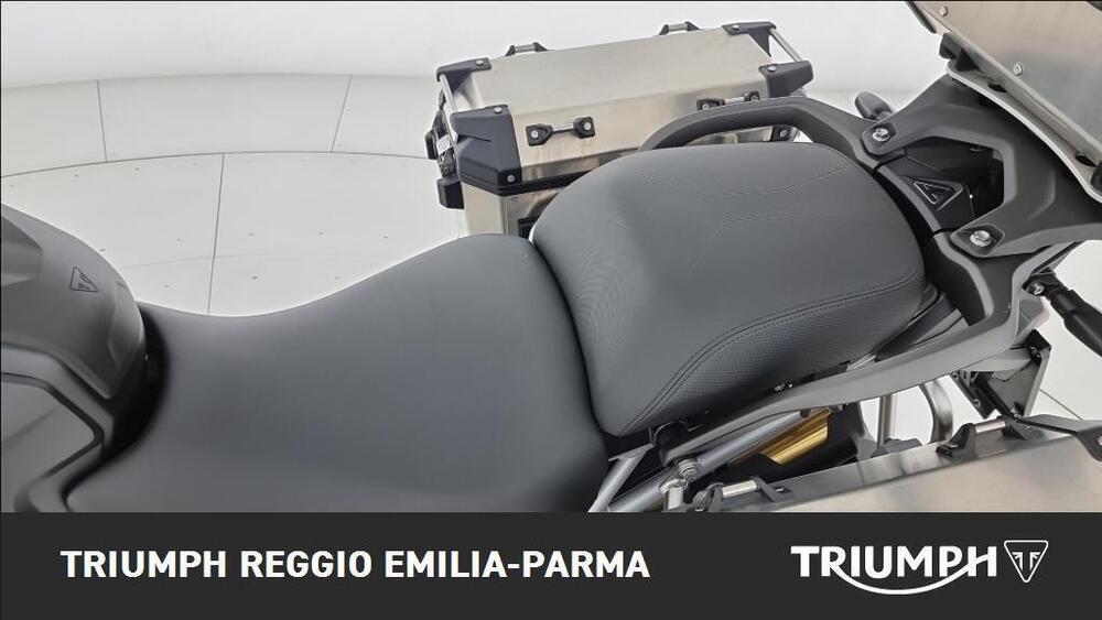 Triumph Tiger 1200 Rally Explorer (2022 - 23) (15)