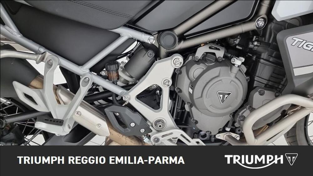 Triumph Tiger 1200 Rally Explorer (2022 - 23) (20)