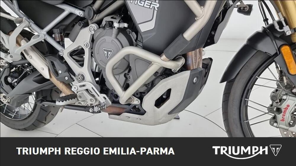 Triumph Tiger 1200 Rally Explorer (2022 - 23) (21)
