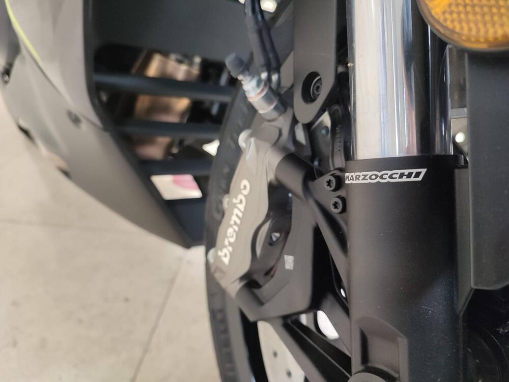 Benelli Tornado 550 (2025 - 26) (7)
