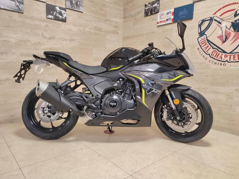 Benelli Tornado 550 (2025 - 26) (5)