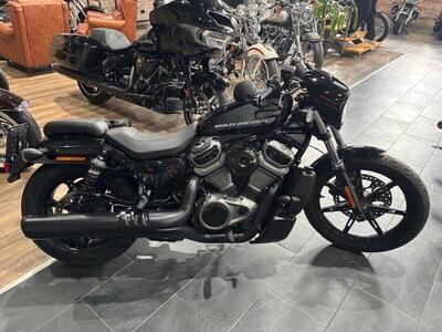 Harley-Davidson Nightster (2023 - 25) usata