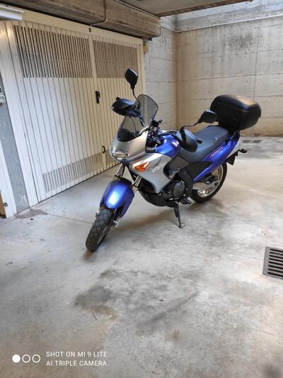 Aprilia Pegaso 650 IE (2003 - 04) usata