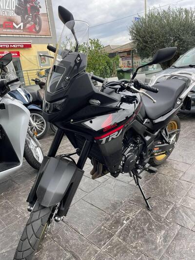 Honda Transalp XL750 (2025) usata