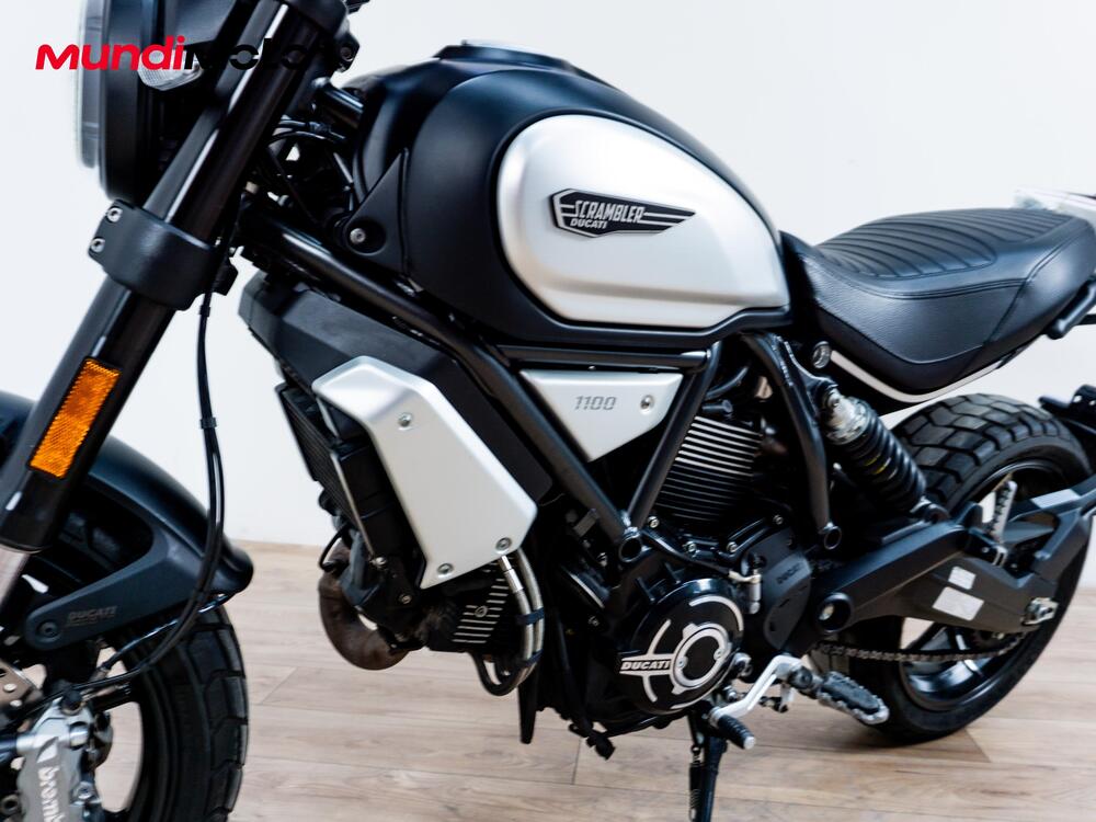 Ducati Scrambler 1100 Dark Pro (2020 - 24) (6)