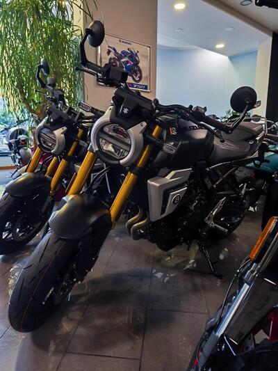 Suzuki GSX-8T (2025 - 26) nuova