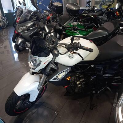 Benelli BN 302 (2014 - 16) usata