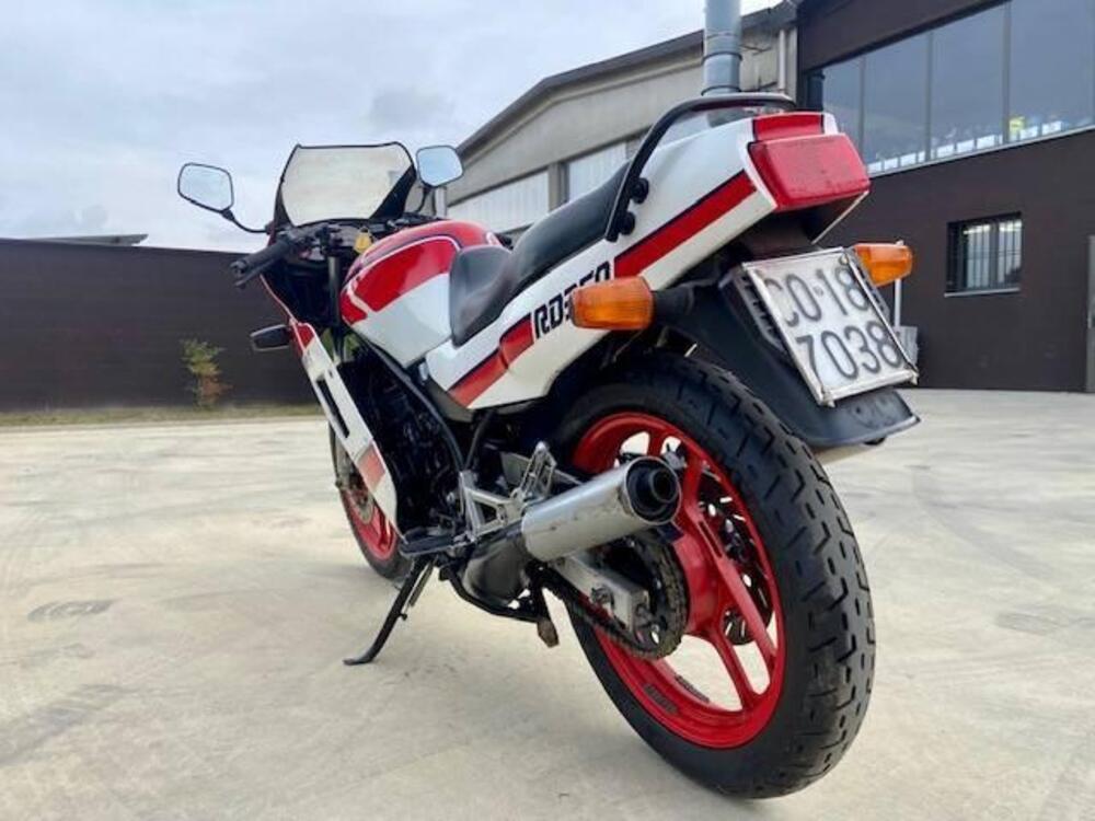 Yamaha RD 350 LC (1982 - 85) (7)