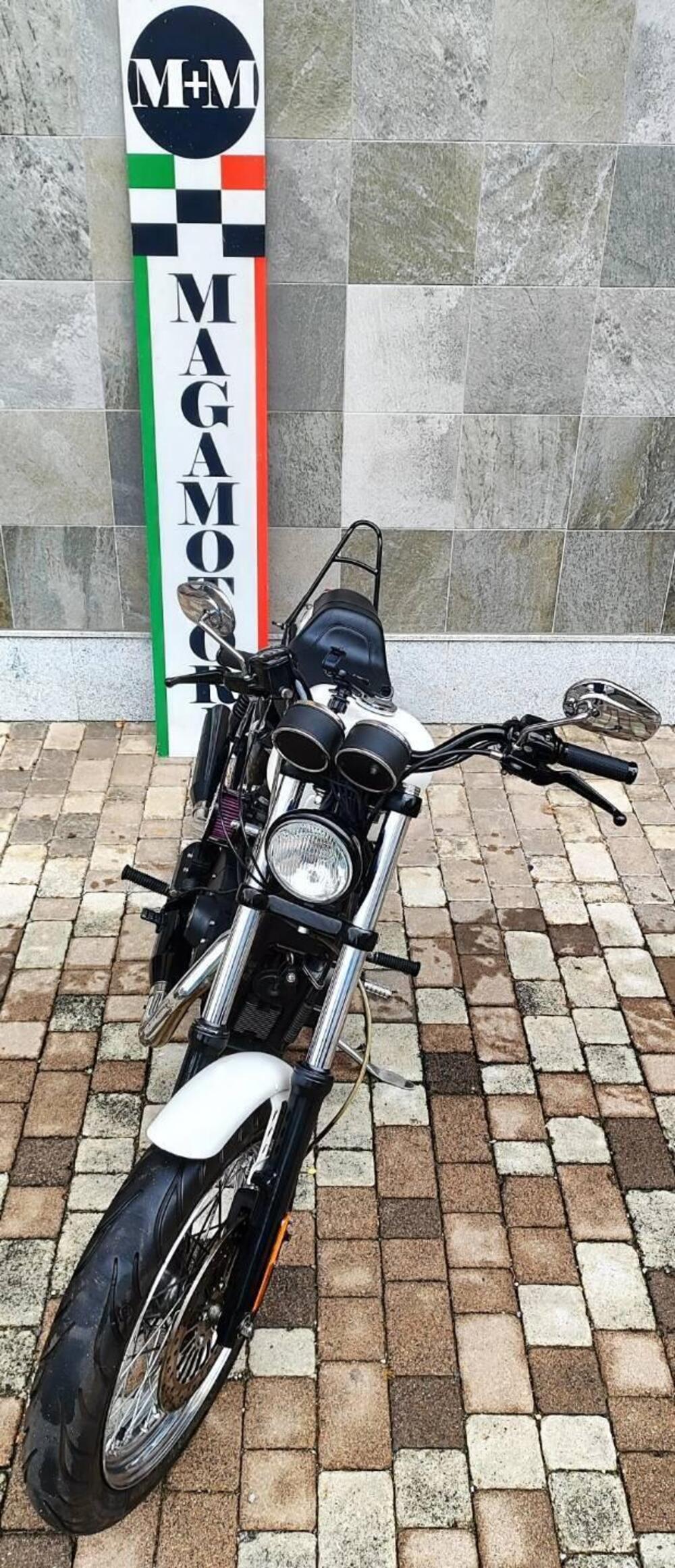 Harley-Davidson 883 Standard (2001 - 05) - XL 883 (9)