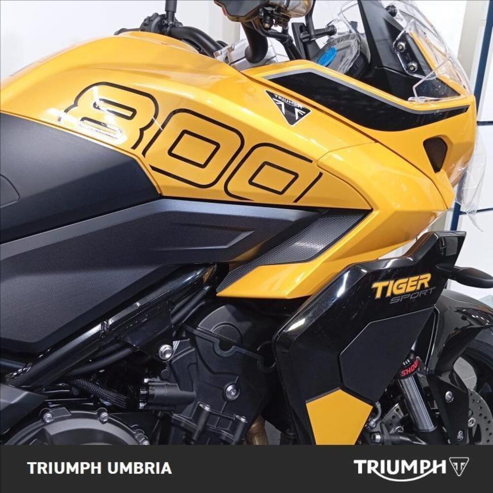 Triumph Tiger Sport 800 (2025 - 26) (4)