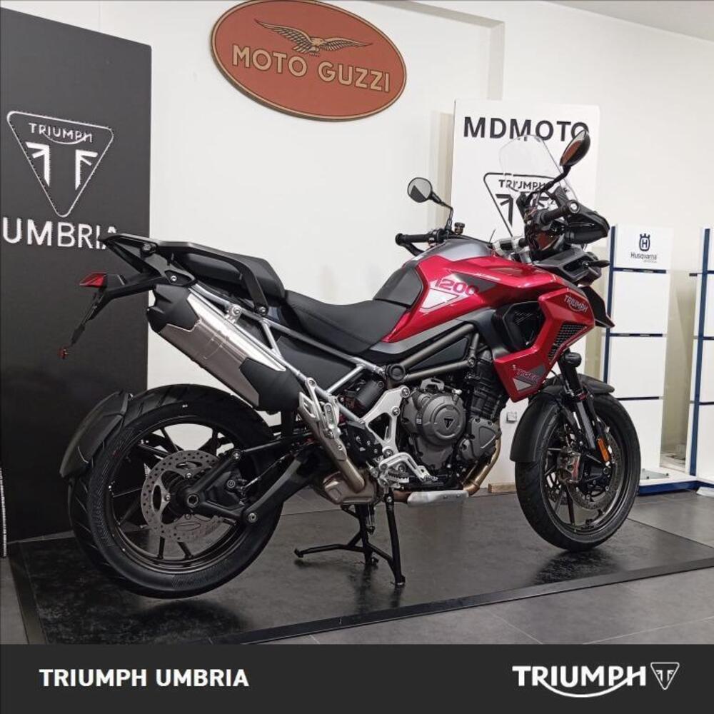 Triumph Tiger 1200 GT Pro (2024 - 26) (2)