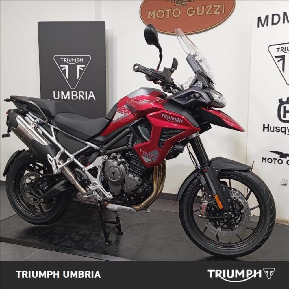 Triumph Tiger 1200 GT Pro (2024 - 26) (5)