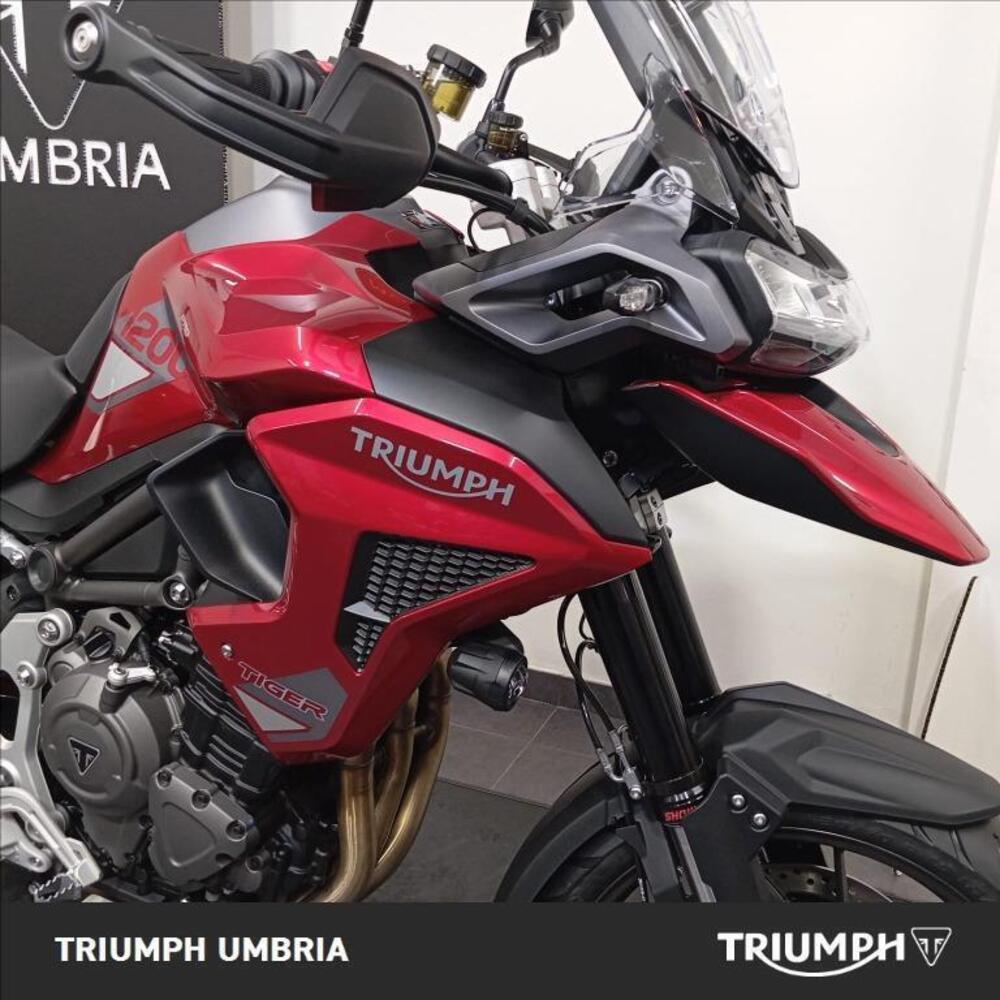 Triumph Tiger 1200 GT Pro (2024 - 26) (4)