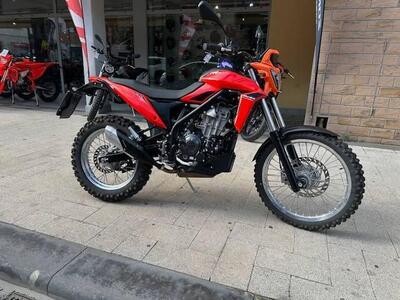 Betamotor Alp 4.0 (2024 - 25) usata