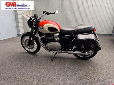 Triumph Bonneville T100 (2008 - 16) usata