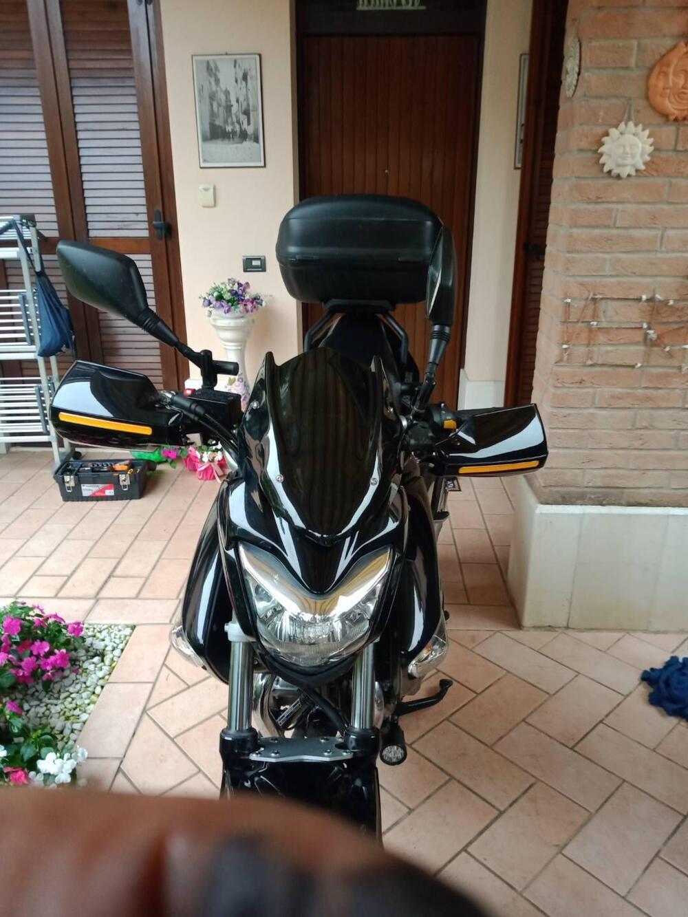 Suzuki Inazuma 250 (2012 - 17) (5)