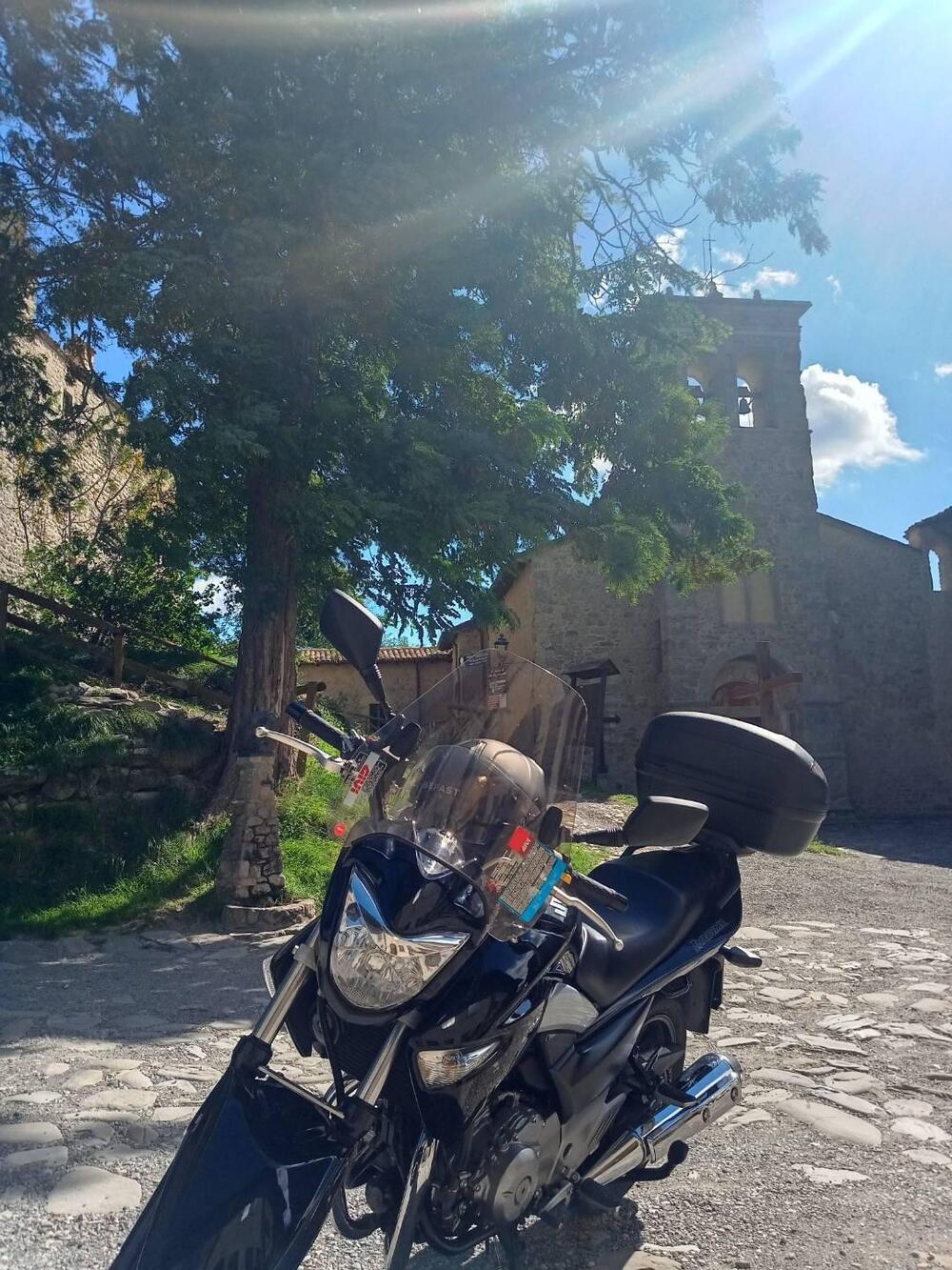 Suzuki Inazuma 250 (2012 - 17) (6)