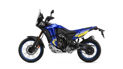 Yamaha T&eacute;n&eacute;r&eacute; 700 World Raid (2022 - 25) usata