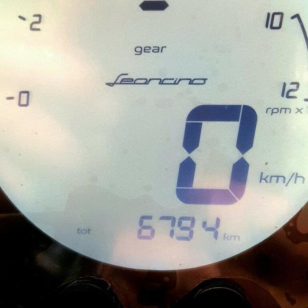 Benelli Leoncino 500 Trail (2021 - 26) (5)