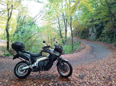 Aprilia Caponord ETV 1000 ABS (2004 - 11) usata