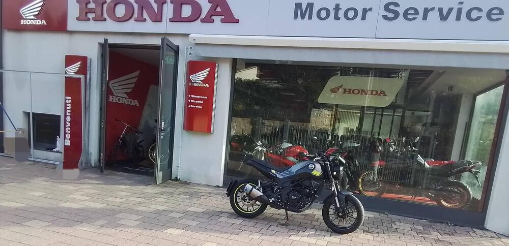 Benelli Leoncino 250 (2019 - 20) (7)