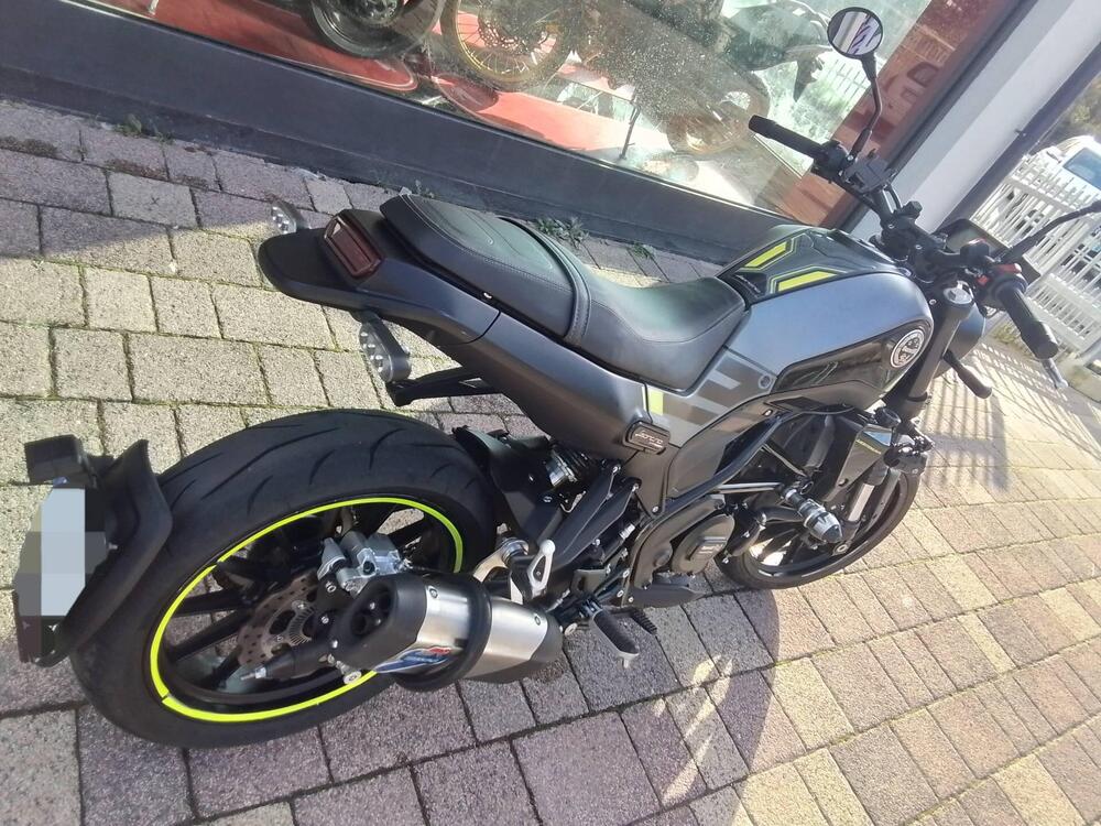 Benelli Leoncino 250 (2019 - 20) (8)