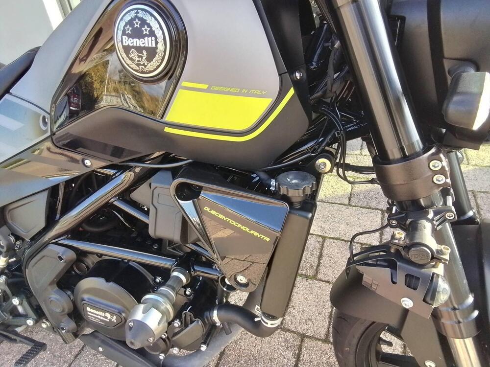 Benelli Leoncino 250 (2019 - 20) (9)