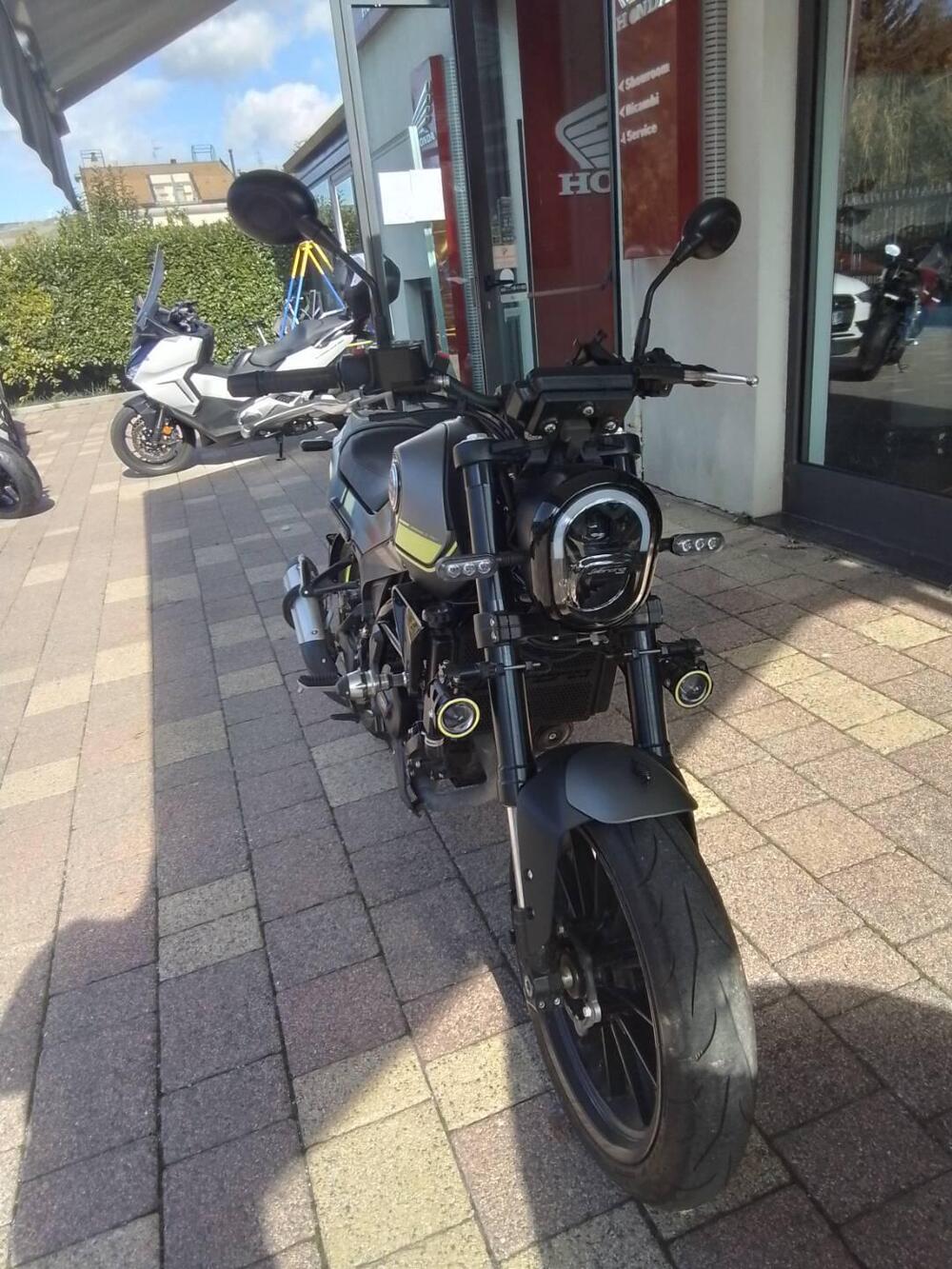 Benelli Leoncino 250 (2019 - 20) (10)