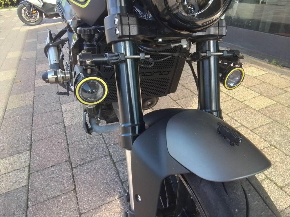 Benelli Leoncino 250 (2019 - 20) (15)