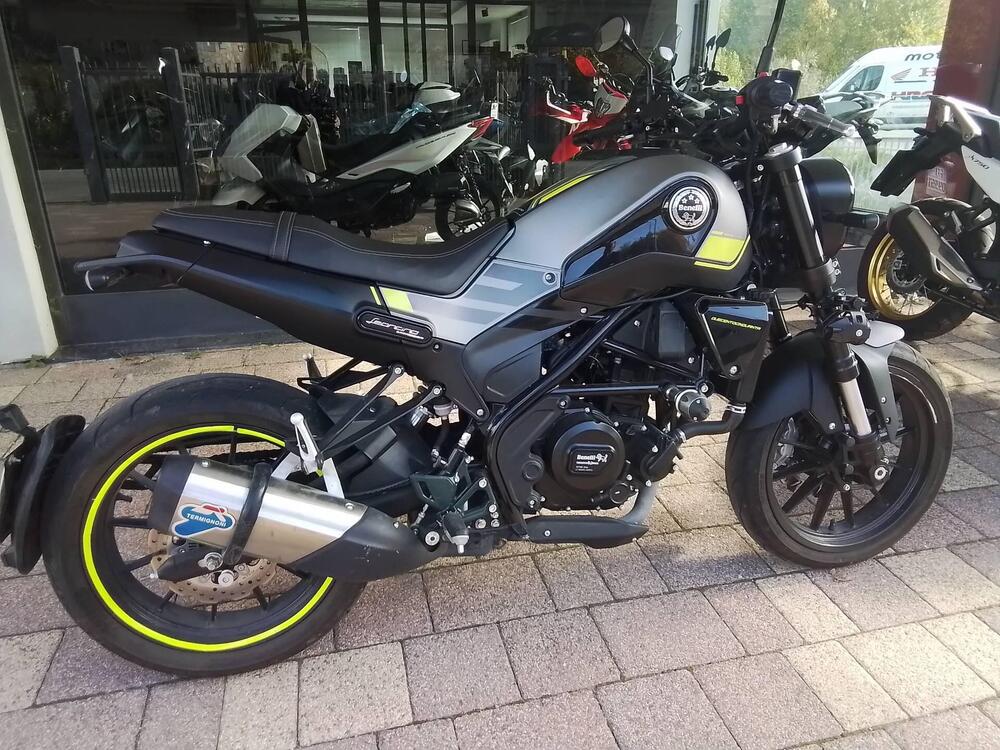 Benelli Leoncino 250 (2019 - 20) (16)