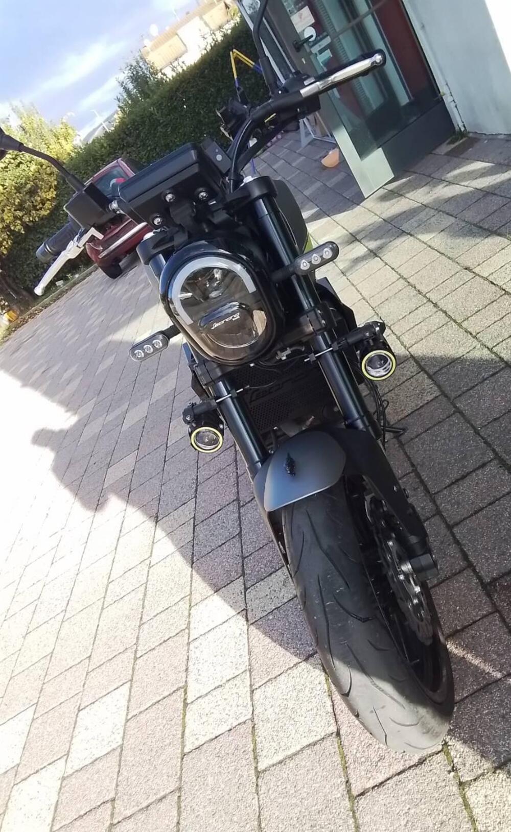 Benelli Leoncino 250 (2019 - 20) (19)