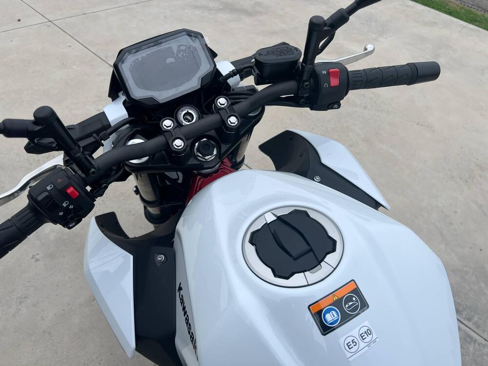 Kawasaki Z 500 SE (2024 - 26) (6)