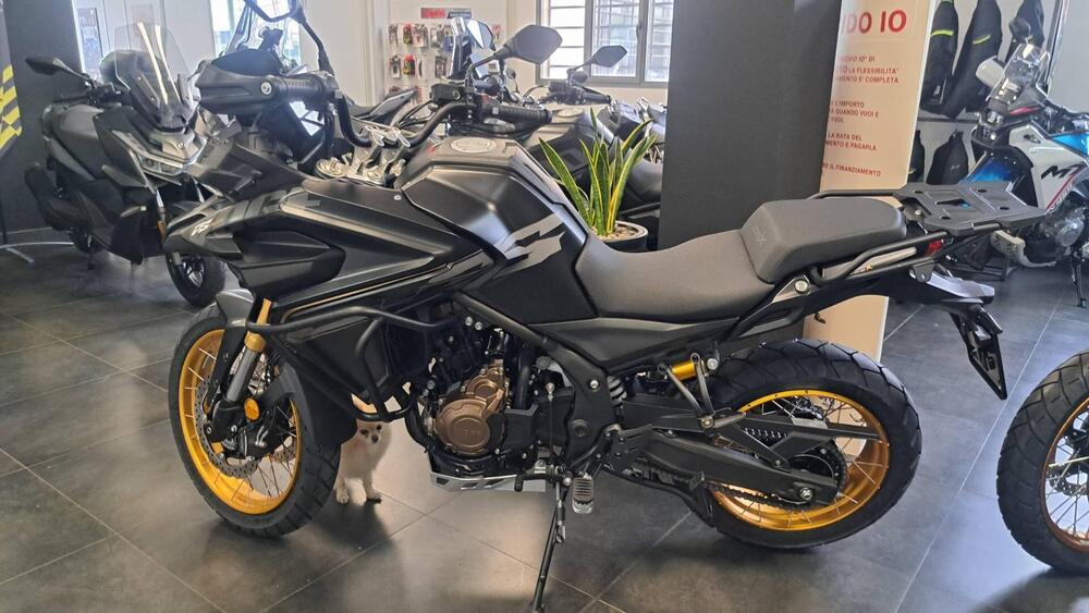 Voge Valico 625DSX (2025 - 26)