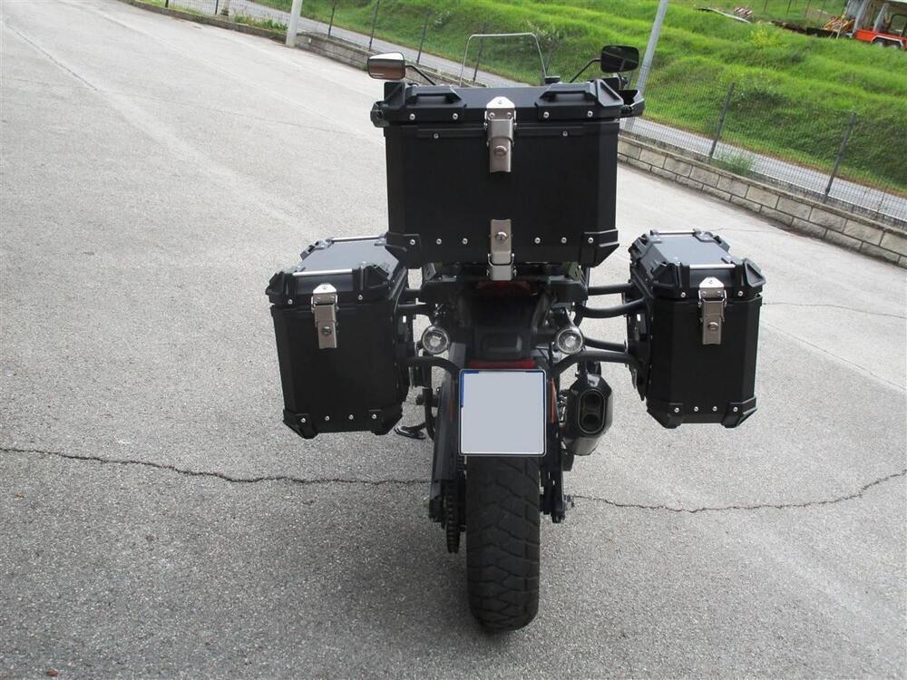 Harley-Davidson Pan America 1250 Special (2020 - 25) (5)