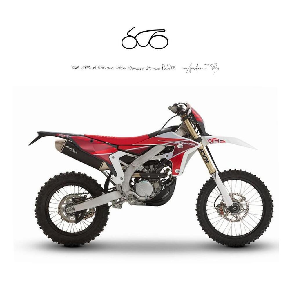 Fantic Motor XEF 250 (2025)