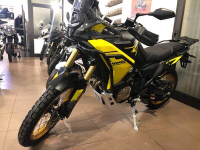 Voge Valico 800DSX Rally (2025) nuova