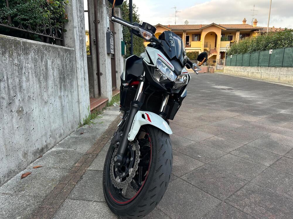 Kawasaki Z 650 (2021 - 24) (2)