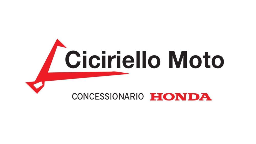 Scarico + Collettore Leovince (7)