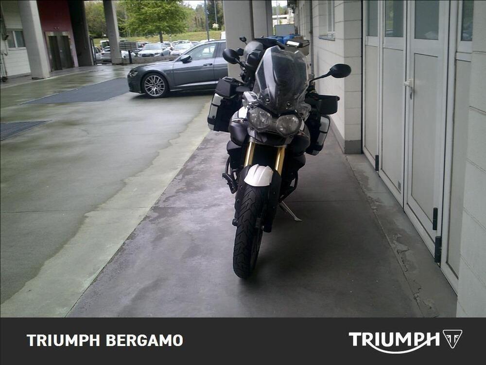 Triumph Tiger 800 ABS (2010 - 14) (5)