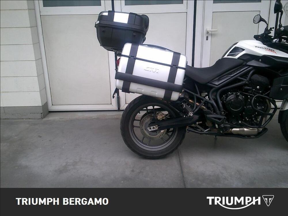 Triumph Tiger 800 ABS (2010 - 14) (6)