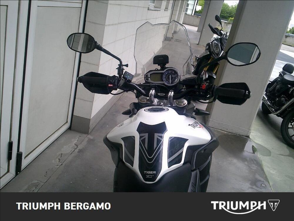 Triumph Tiger 800 ABS (2010 - 14) (7)